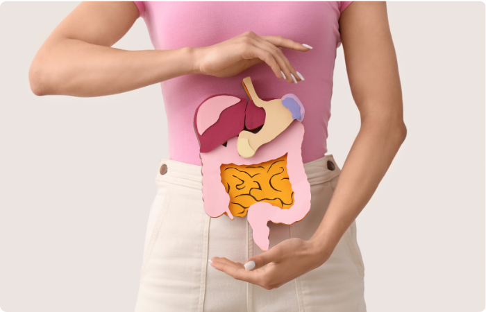 PMS-Blähungen Frau hält eine Papier-Illustration des Verdauungstrakts vor den Bauch